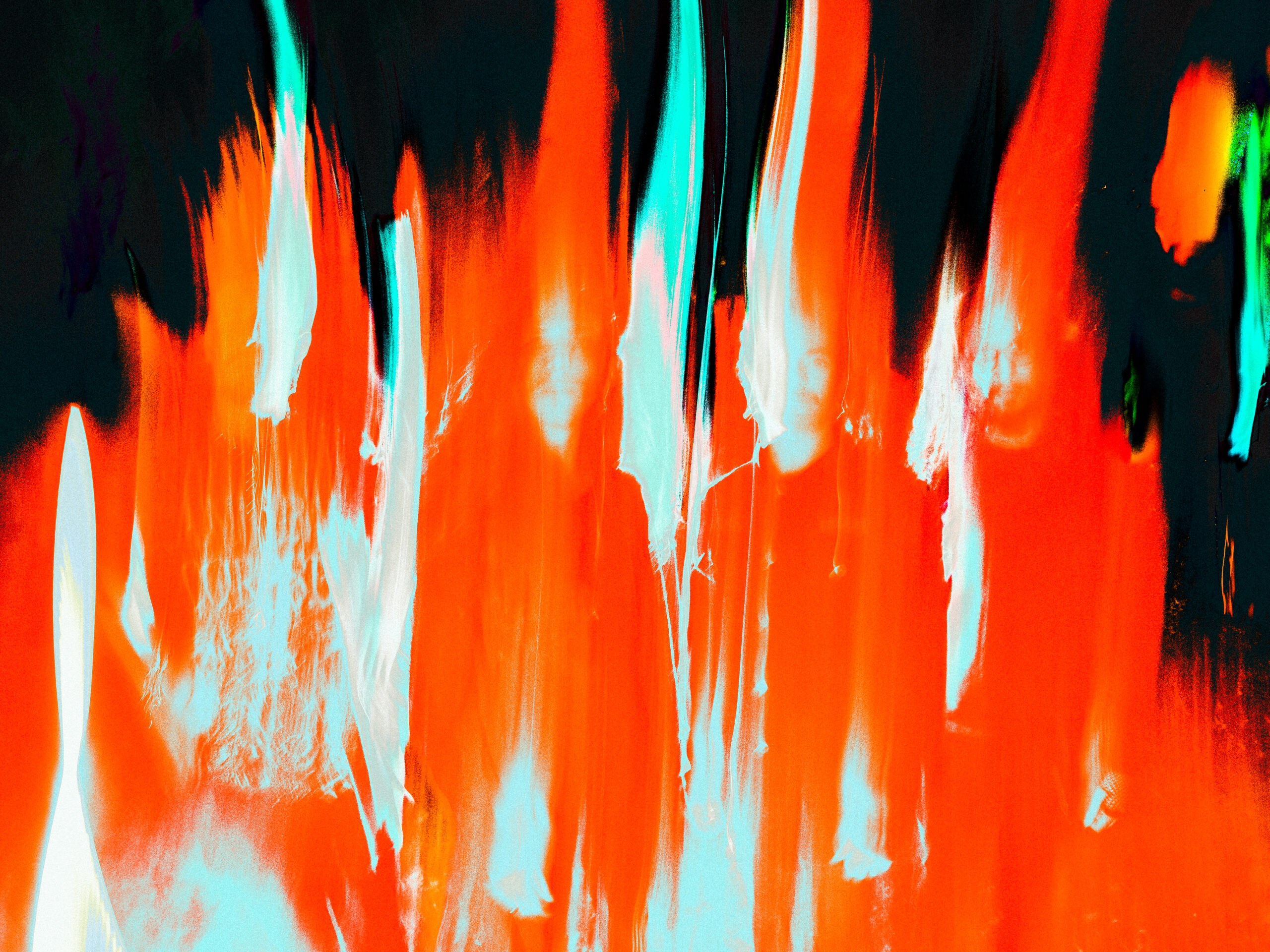 52748486373_1276bc7b04_o